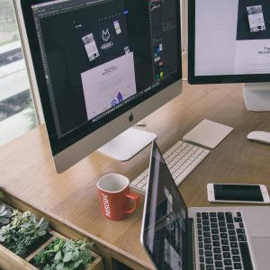 Career Champion Training